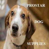 prostar dog supplies