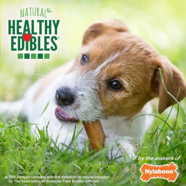 Nylabone Healthy Edibles Wholesome Dog Chews - Image 6